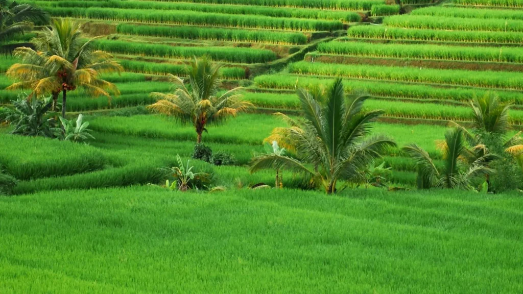 Bali Indonesia Evaneos Il cicloturismo avventuroso su corto medio e lungo raggio